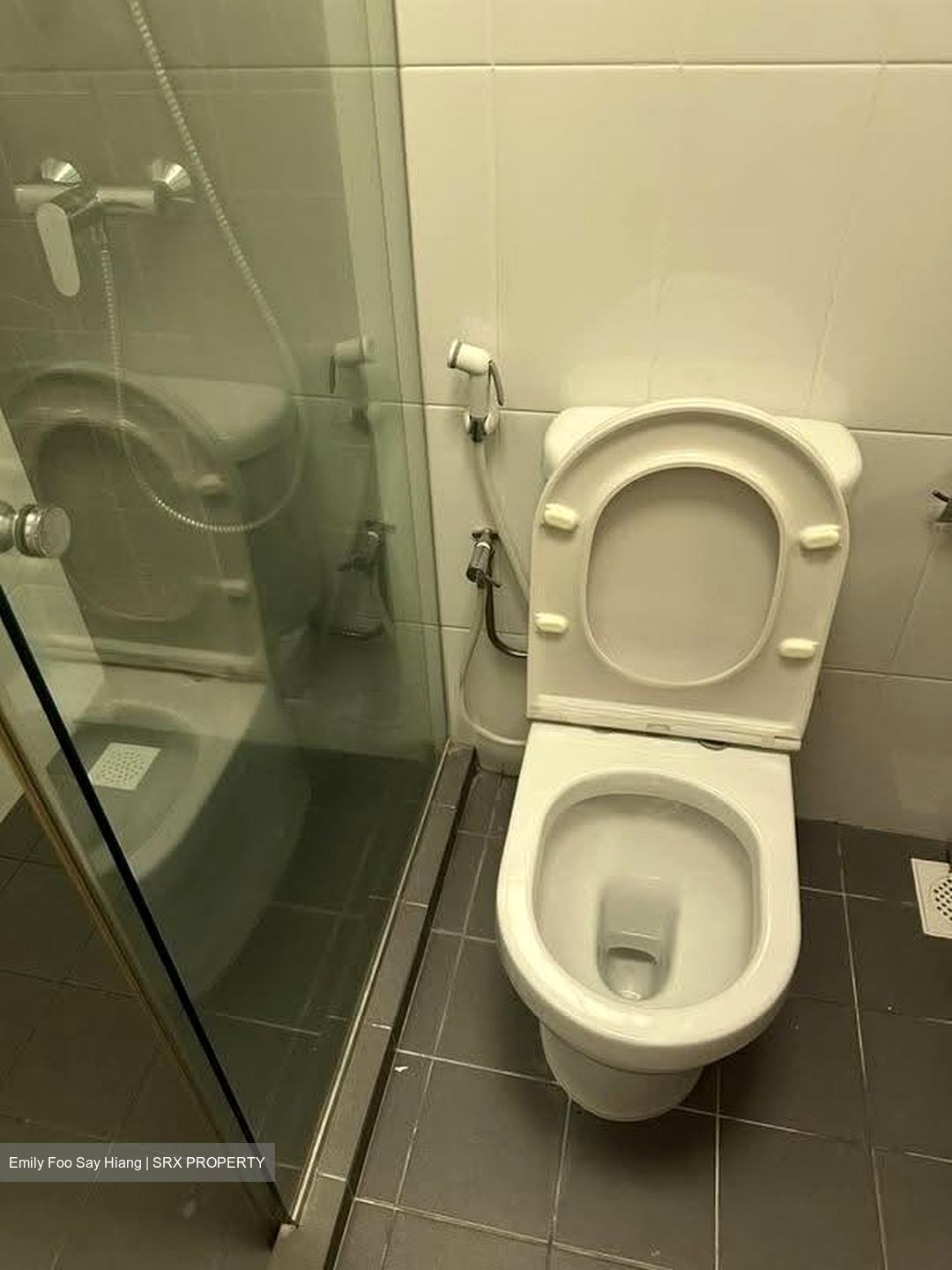 Blk 455B Teck Ghee Parkview (Ang Mo Kio), HDB 5 Rooms #625985921